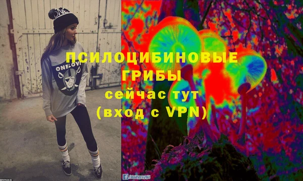меф Горнозаводск