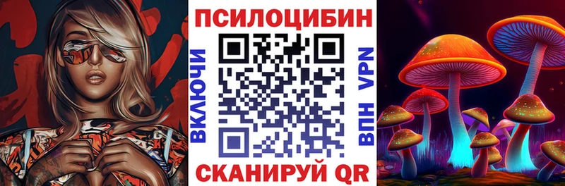 Купить Сасово Псилоцибиновые грибы MAGIC MUSHROOMS